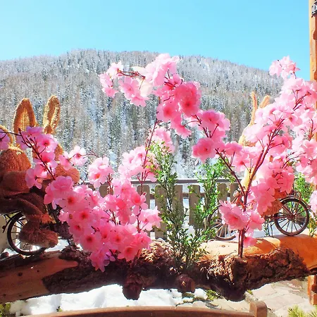 Luleta Bed & Breakfast Livigno